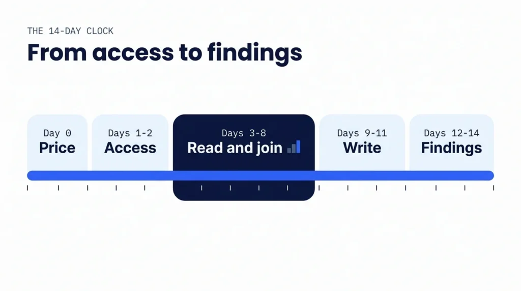 Flat 14-day paid ads audit timeline from access to findings session